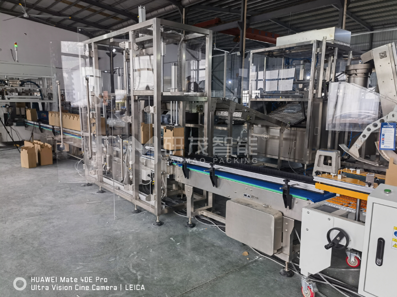 智能兩軸機(jī)器人裝箱機(jī)——定制化適用于食品、醫(yī)藥、電子行業(yè)自動(dòng)化生產(chǎn)線(xiàn)廠(chǎng)家
