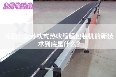 驚艷！江蘇枕式熱收縮膜包裝機的新技術(shù)到底是什么？