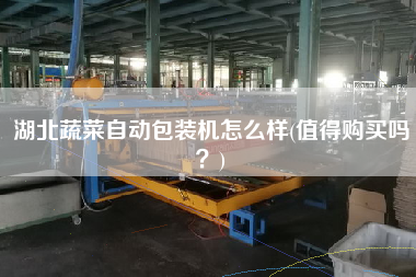 湖北蔬菜自動(dòng)包裝機(jī)怎么樣(值得X嗎？)
