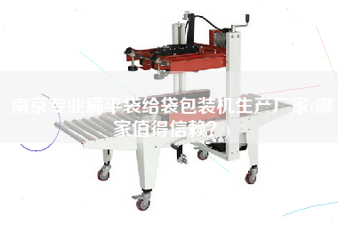 南京專業(yè)扁平袋給袋包裝機生產廠家(哪家值得信賴？)