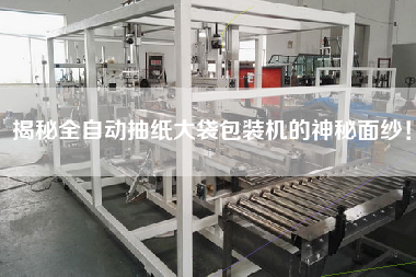 揭秘全自動(dòng)抽紙大袋包裝機(jī)的神秘面紗！