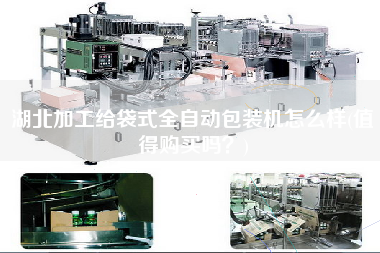 湖北加工給袋式全自動(dòng)包裝機(jī)怎么樣(值得X嗎？)