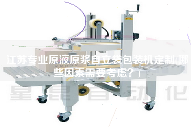 江蘇專業(yè)原液原漿自立袋包裝機定制(哪些因素需要考慮？)