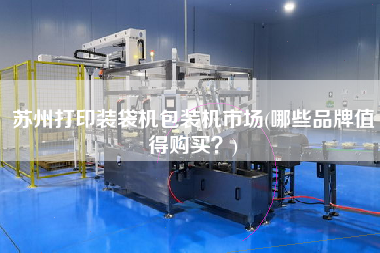 蘇州打印裝袋機(jī)包裝機(jī)市場(chǎng)(哪些品牌值得X？)