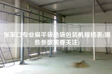 X專業(yè)扁平袋給袋包裝機規(guī)格表(哪些參數(shù)需要關(guān)注)
