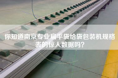 你知道南京專業(yè)扁平袋給袋包裝機(jī)規(guī)格表的驚人數(shù)據(jù)嗎？