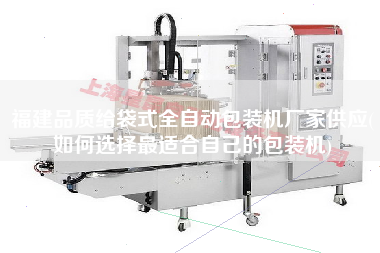 福建品質(zhì)給袋式全自動(dòng)包裝機(jī)廠家供應(yīng)(如何選擇z適合自己的包裝機(jī))