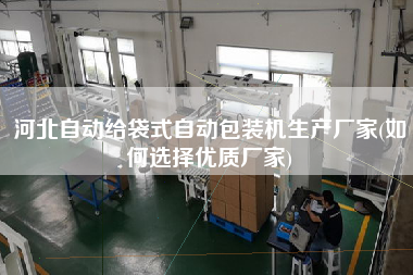 河北自動給袋式自動包裝機生產廠家(如何選擇優(yōu)質廠家)