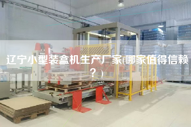 遼寧小型裝盒機(jī)生產(chǎn)廠家(哪家值得信賴？)