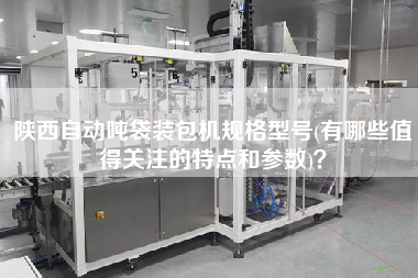 陜西自動噸袋裝包機(jī)規(guī)格型號(有哪些值得關(guān)注的特點(diǎn)和參數(shù))？