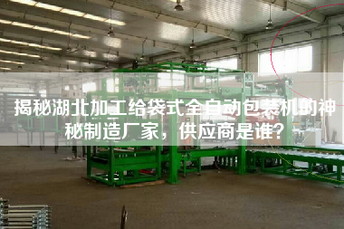 揭秘湖北加工給袋式全自動(dòng)包裝機(jī)的神秘制造廠家，供應(yīng)商是誰？