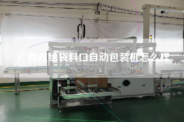 廣西雙給袋料口自動包裝機怎么樣