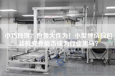 X，包裝大作為！小型纏繞膜包裝機(jī)究竟能否成為行業(yè)黑馬？