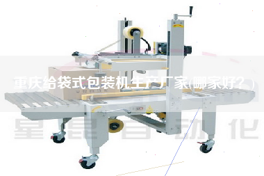 重慶給袋式包裝機(jī)生產(chǎn)廠家(哪家好？)