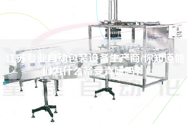江蘇專業(yè)自動包裝設(shè)備生產(chǎn)商(你知道他們?yōu)槭裁磦涫芮嗖A嗎？)