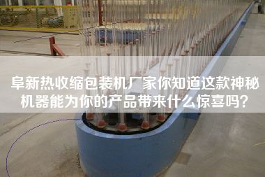 阜新熱收縮包裝機廠家你知道這款神秘機器能為你的產(chǎn)品帶來什么驚喜嗎？
