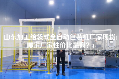 山東加工給袋式全自動包裝機(jī)廠家現(xiàn)貨(哪家廠家性價比z高？)
