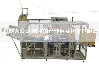 機(jī)器人公司(未來(lái)的產(chǎn)業(yè)巨頭還是過眼云煙？)