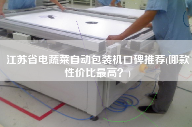 江蘇省電蔬菜自動(dòng)包裝機(jī)口碑推薦(哪款性價(jià)比z高？)