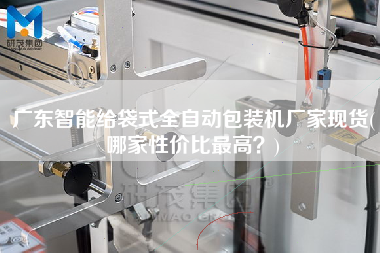 廣東智能給袋式全自動包裝機(jī)廠家現(xiàn)貨(哪家性價(jià)比z高？)