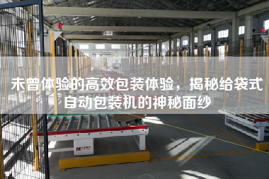 未曾體驗(yàn)的高效包裝體驗(yàn)，揭秘給袋式自動(dòng)包裝機(jī)的神秘面紗