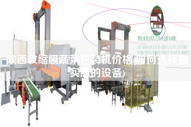 陜西收縮膜蔬菜包裝機(jī)價格(如何選擇z實(shí)惠的設(shè)備)