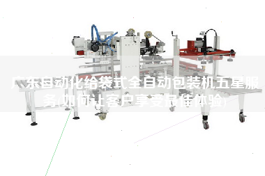 廣東自動化給袋式全自動包裝機(jī)五星服務(wù)(如何讓客戶享受z佳體驗)