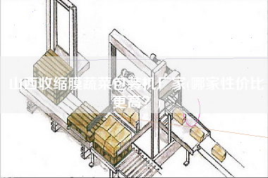 山西收縮膜蔬菜包裝機(jī)廠家(哪家性?xún)r(jià)比z高？)