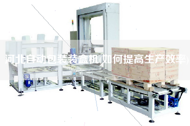 河北自動(dòng)包裝裝盒機(jī)(如何提高生產(chǎn)效率)