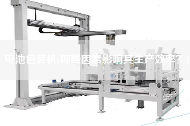 電池包裝機(jī)(哪些因素影響其生產(chǎn)效率？)