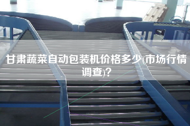 甘肅蔬菜自動(dòng)包裝機(jī)價(jià)格多少(市場(chǎng)行情調(diào)查)？