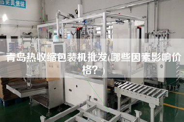 青島熱收縮包裝機(jī)批發(fā)(哪些因素影響價(jià)格？)