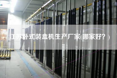 江蘇臥式裝盒機生產(chǎn)廠家(哪家好？)