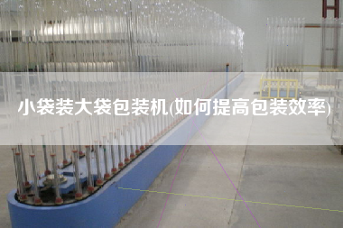 小袋裝大袋包裝機(jī)(如何提高包裝效率)