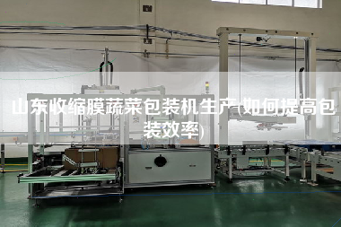 山東收縮膜蔬菜包裝機生產(chǎn)(如何提高包裝效率)